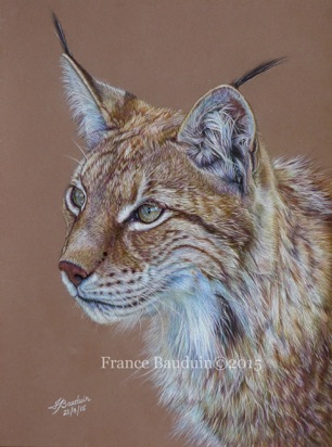 Lynx portrait - 41 hours
Brown Pastelmat
11.5 x 15"
Ref: Denise Laurent Lynx portrait - 41 hours
Brown Pastelmat
11.5 x 15"
Ref: Denise Laurent
